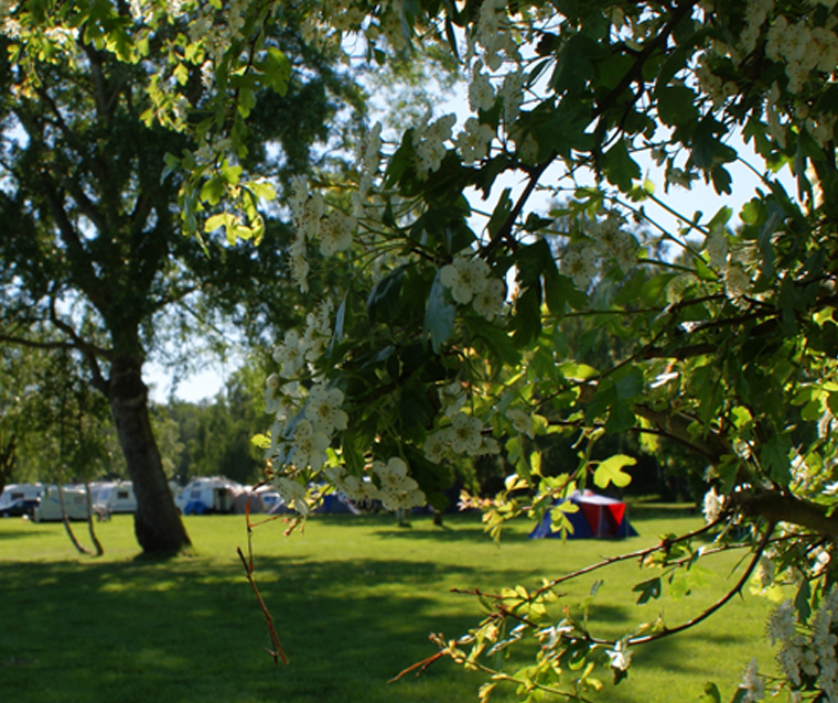 Frühling im OstseeCamp Dierhagen