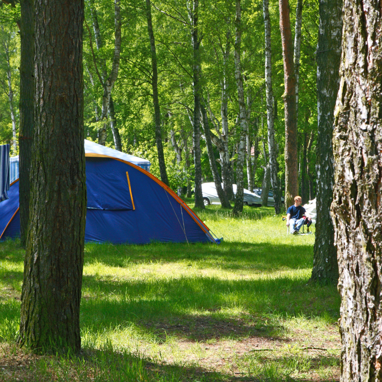 Camping im Wald; zum Strand nur 5 Minuten Fußweg