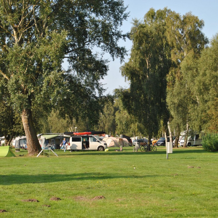DSC_0019
