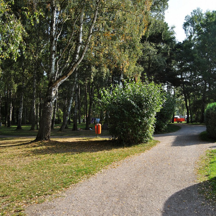 Campen im Wald