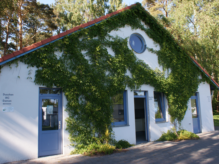 Unsere Sanitärhaus 2 inkl. Weinrebe