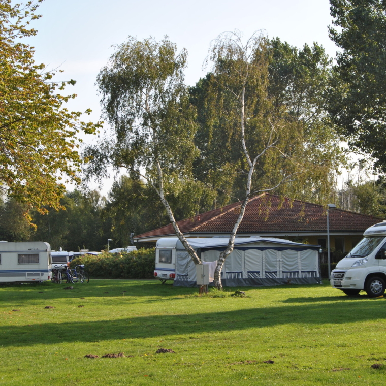 Wohnmobilwiese in der Nähe vom Waschhaus 4