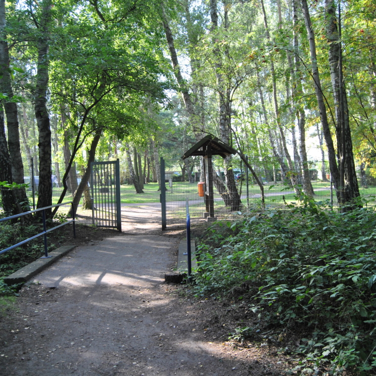 Der kürzeste Weg zum Strand