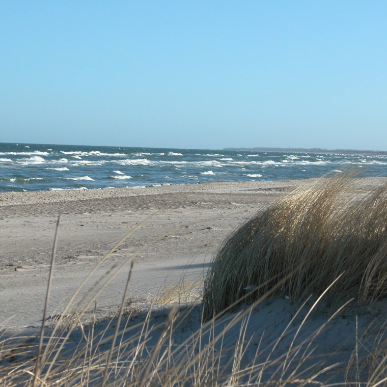 Strand in Dierhagen im Winter